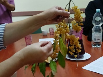 Szkolenie sadownicze w Osjakowie, 